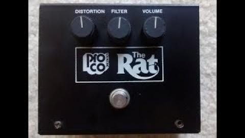 83 Big Box Rat