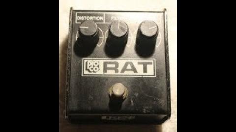 1984 Whiteface Proco Rat